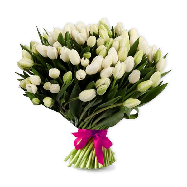 images/products/bouquet-of-luxurious-101-white-tulips.jpg