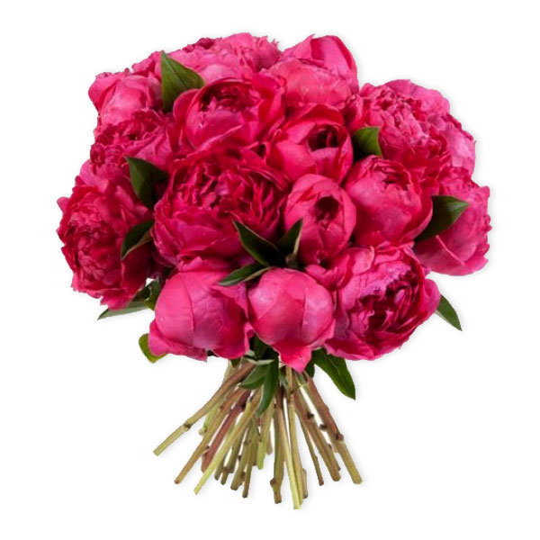 images/products/bouquet-of-raspberry-peonies.jpg