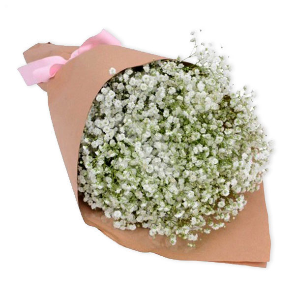 images/products/bouquet-of-white-gypsophila.jpg
