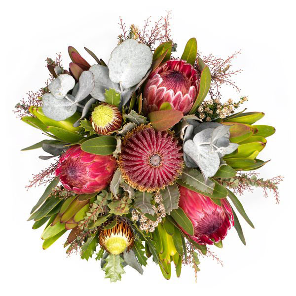 images/products/fairy-protea.jpg