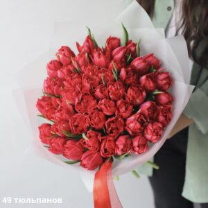 Букет з 49 червоних тюльпанів