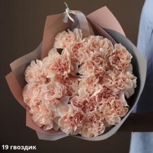 Букет із 19 рожевих гвоздик (Розмір S)