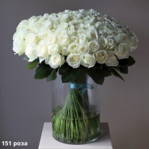 Букет 151 біла троянда