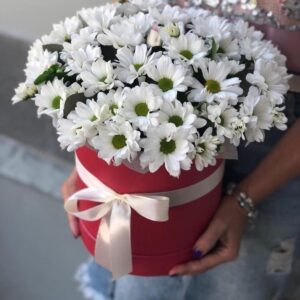 Ніжні білі хризантеми у подарунковій коробці