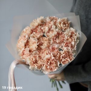 Букет 19 кремових гвоздик