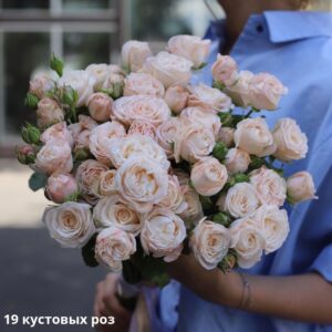 Букет із 19 кущових троянд