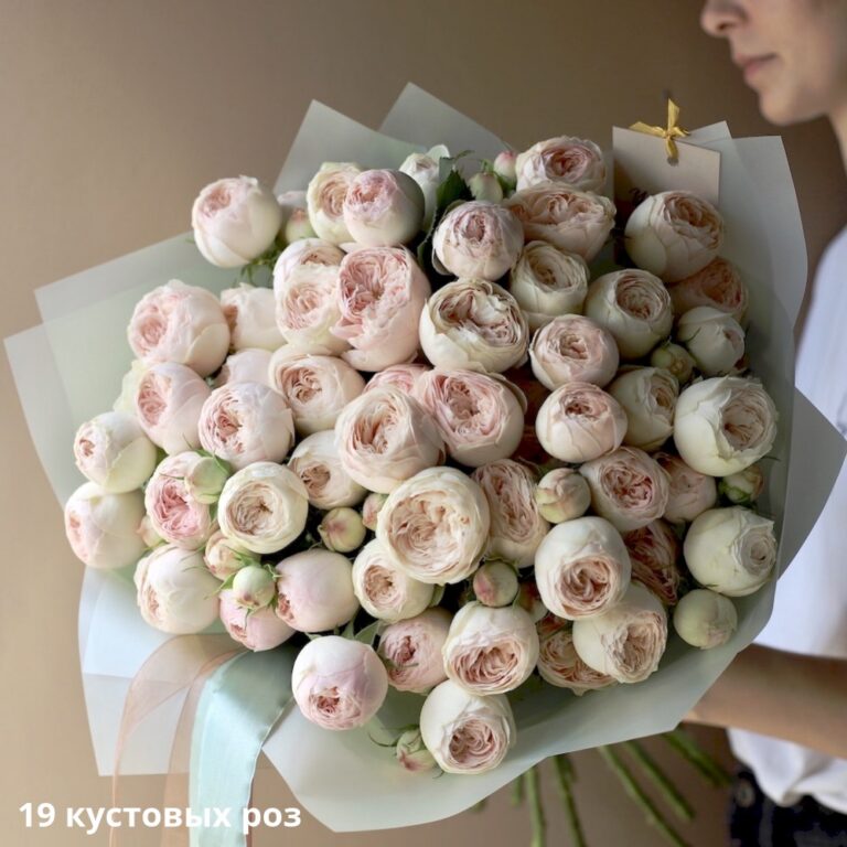 Троянди